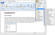 CastlePaste PRO screenshot